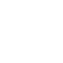 Van Insurance